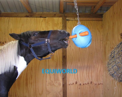 Carrot Ball - Horse Toy
